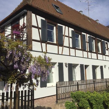Gite Cote Jardin Ingersheim Zewnętrze zdjęcie