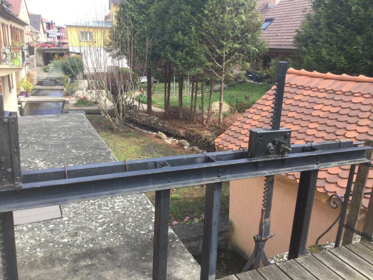 Gite Cote Jardin Ingersheim Zewnętrze zdjęcie