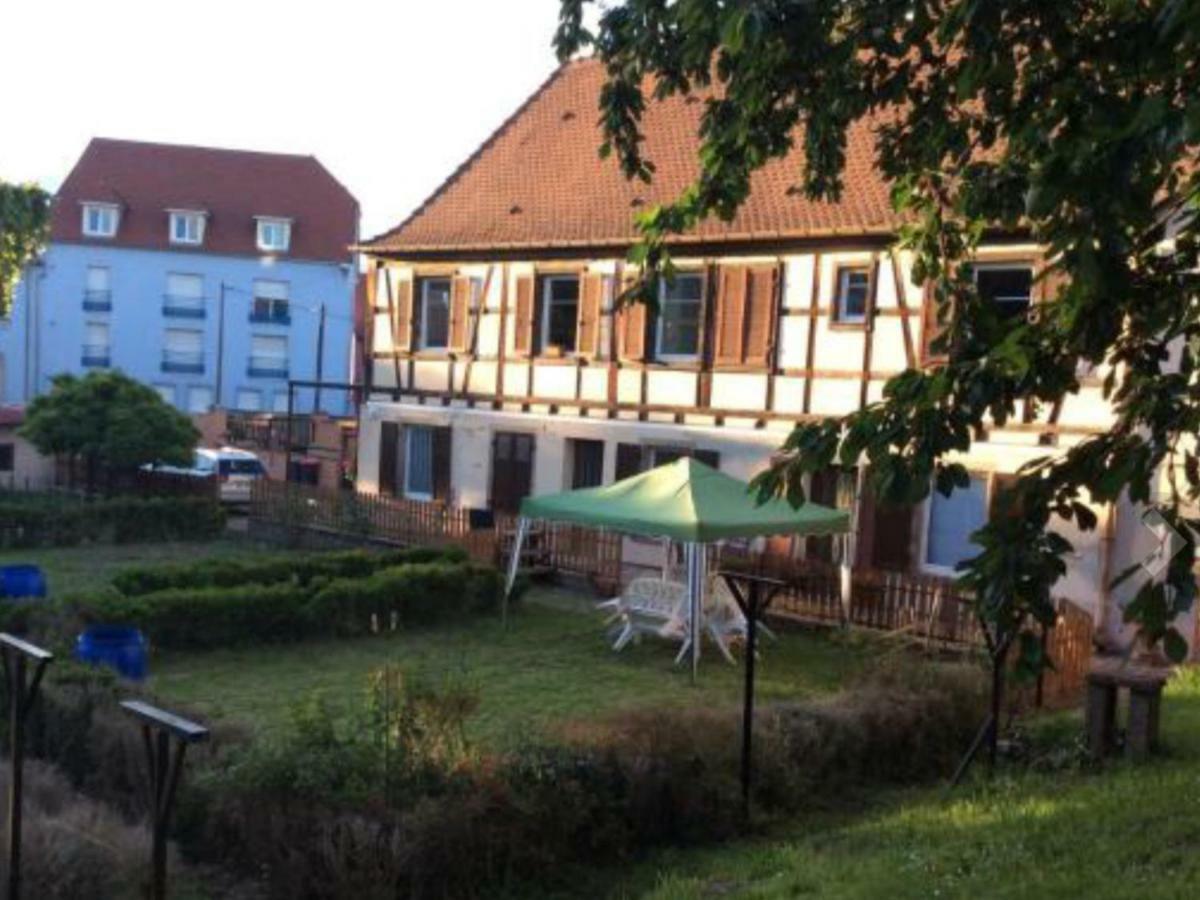 Gite Cote Jardin Ingersheim Zewnętrze zdjęcie